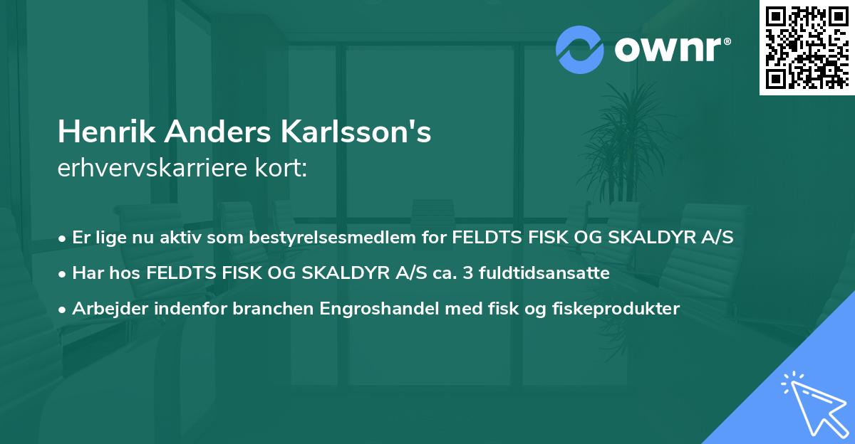 Henrik Anders Karlsson's erhvervskarriere kort
