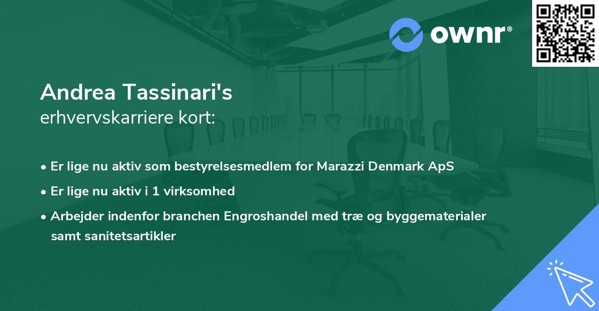 Andrea Tassinari's erhvervskarriere kort