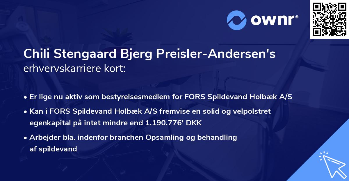 Chili Stengaard Bjerg Preisler-Andersen's erhvervskarriere kort