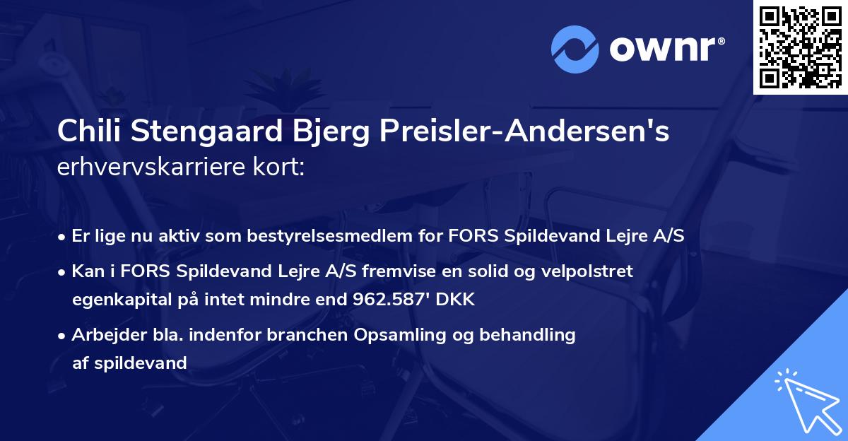 Chili Stengaard Bjerg Preisler-Andersen's erhvervskarriere kort