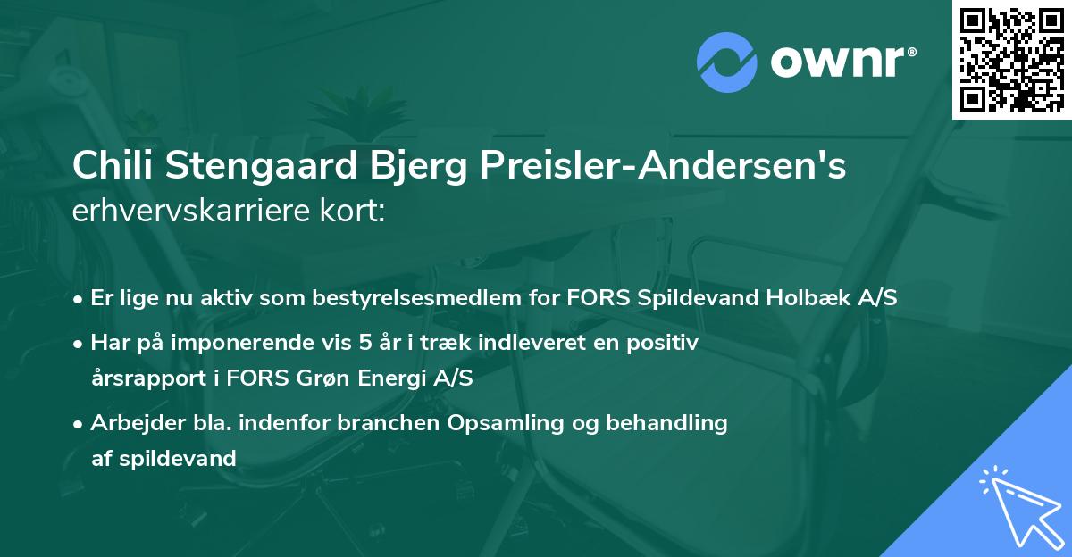 Chili Stengaard Bjerg Preisler-Andersen's erhvervskarriere kort
