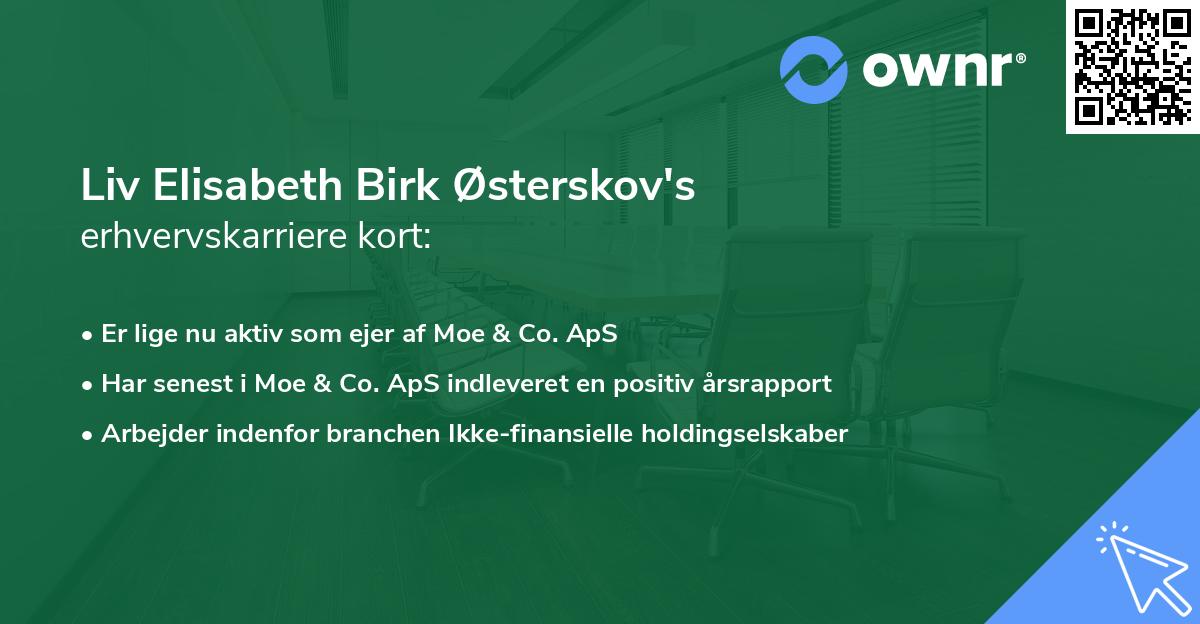 Liv Elisabeth Birk Østerskov's erhvervskarriere kort