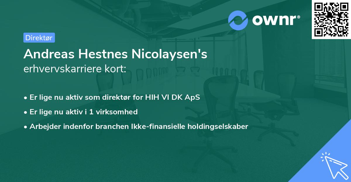 Andreas Hestnes Nicolaysen's erhvervskarriere kort