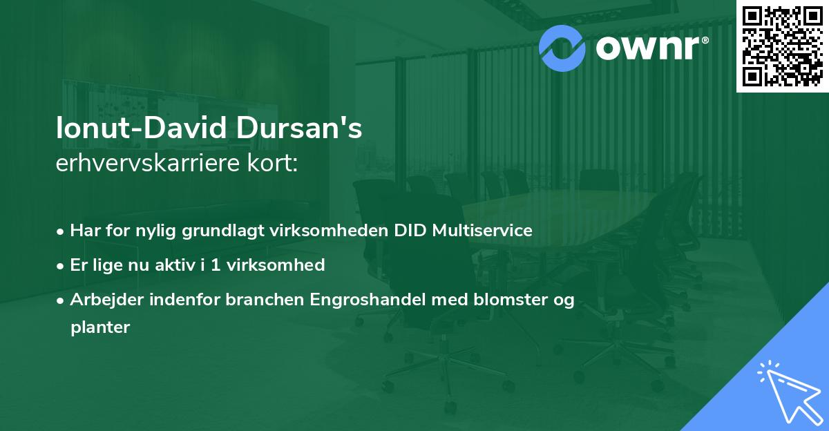 Ionut-David Dursan's erhvervskarriere kort