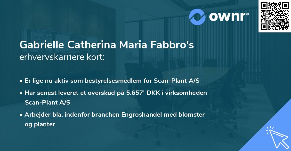Gabrielle Catherina Maria Fabbro's erhvervskarriere kort