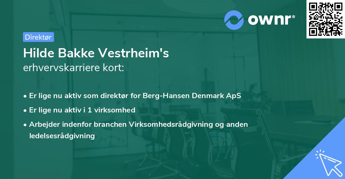 Hilde Bakke Vestrheim's erhvervskarriere kort