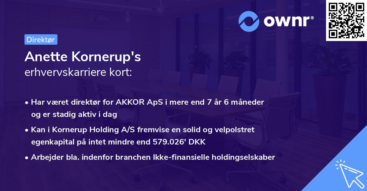 Anette Kornerup's erhvervskarriere kort