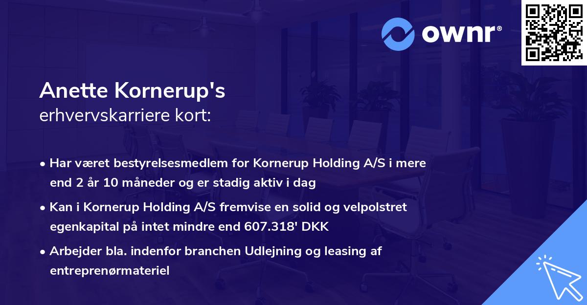 Anette Kornerup's erhvervskarriere kort