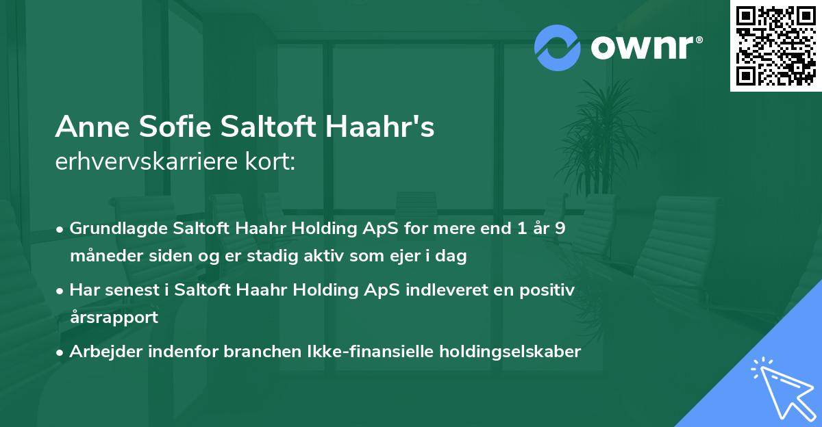 Anne Sofie Saltoft Haahr's erhvervskarriere kort