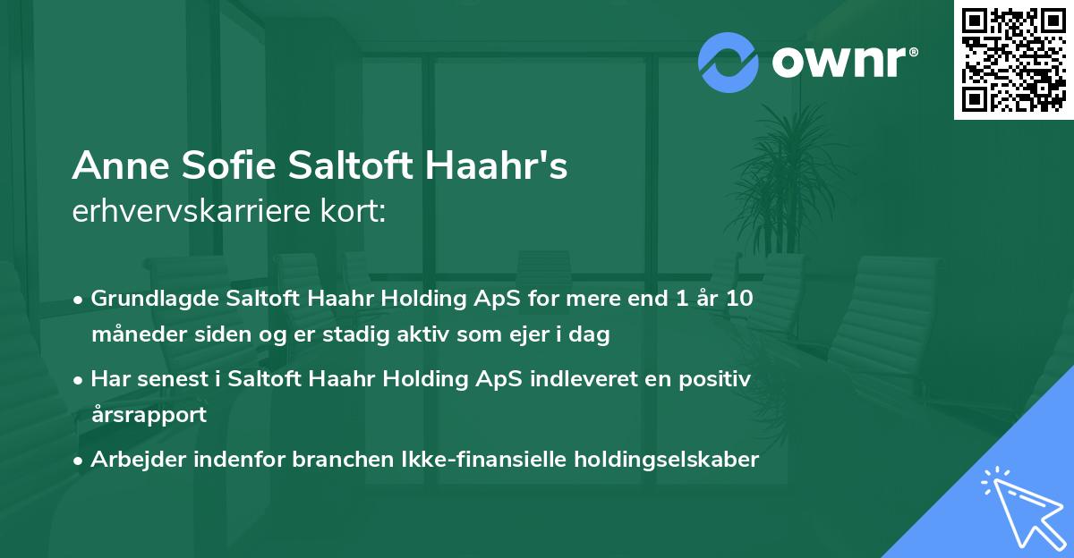 Anne Sofie Saltoft Haahr's erhvervskarriere kort
