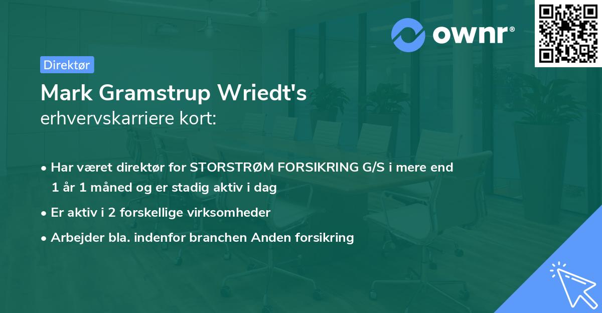 Mark Gramstrup Wriedt's erhvervskarriere kort