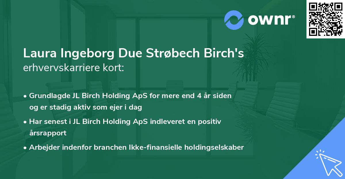 Laura Ingeborg Due Strøbech Birch's erhvervskarriere kort