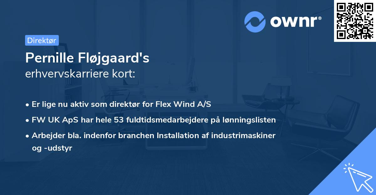 Pernille Fløjgaard's erhvervskarriere kort