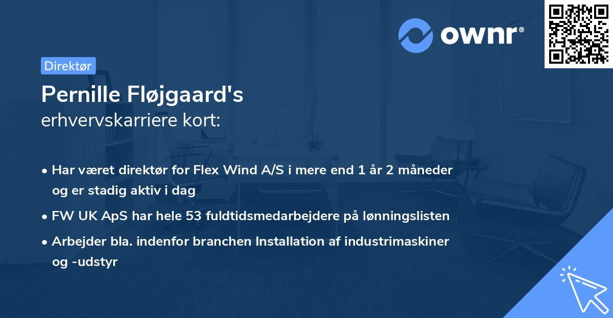 Pernille Fløjgaard's erhvervskarriere kort