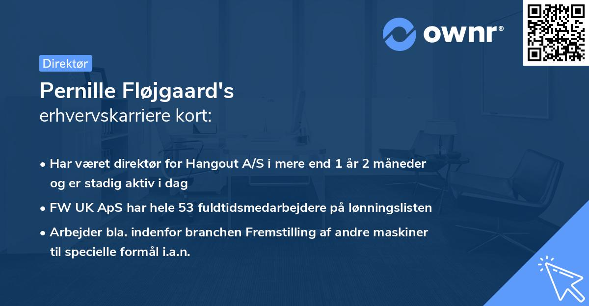 Pernille Fløjgaard's erhvervskarriere kort