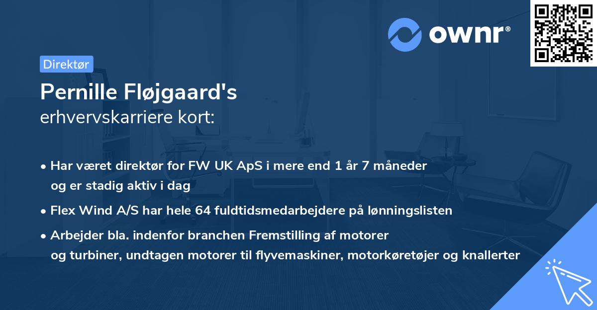 Pernille Fløjgaard's erhvervskarriere kort