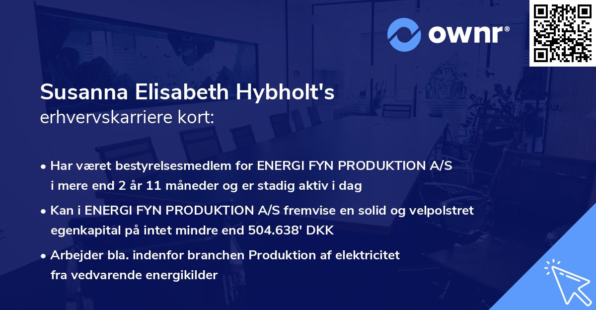 Susanna Elisabeth Hybholt's erhvervskarriere kort
