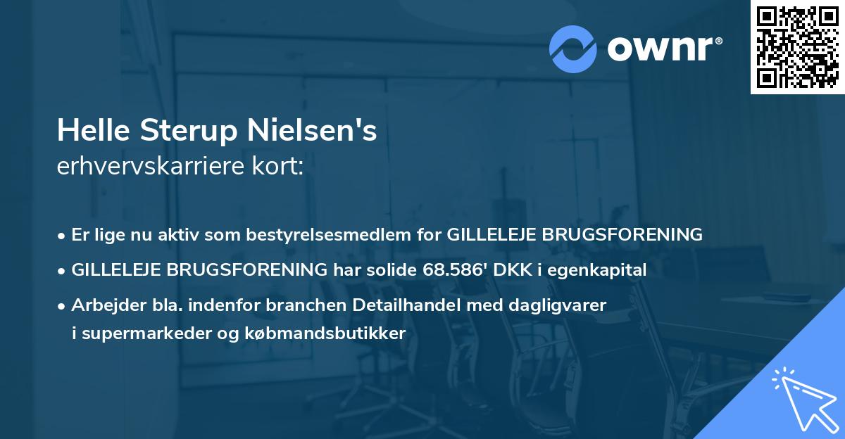 Helle Sterup Nielsen's erhvervskarriere kort