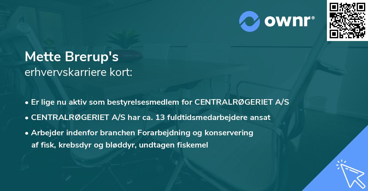 Mette Brerup's erhvervskarriere kort