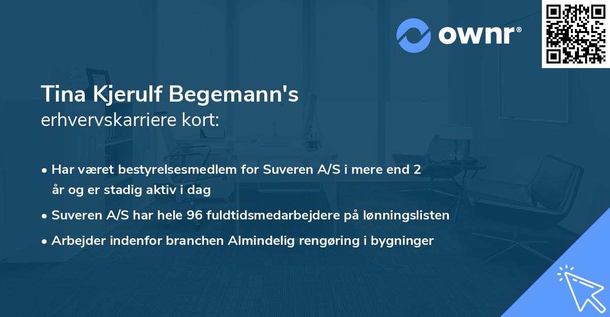 Tina Kjerulf Begemann's erhvervskarriere kort