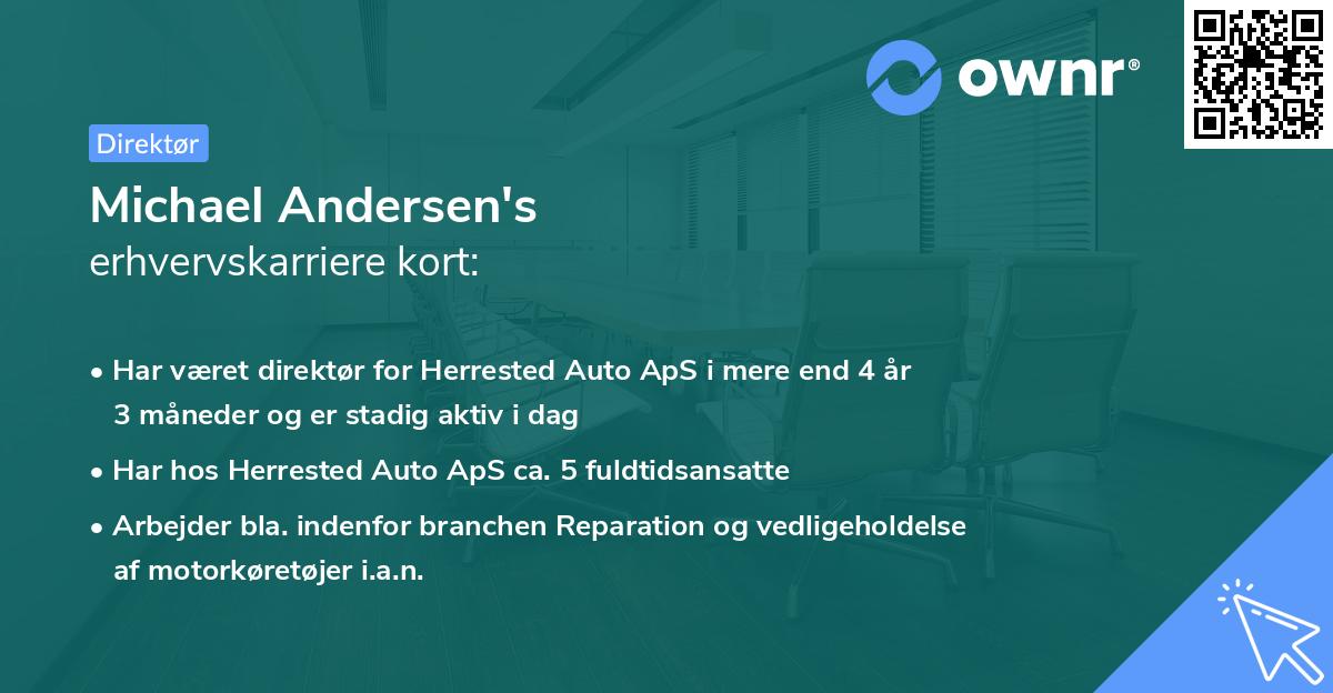 Michael Andersen's erhvervskarriere kort