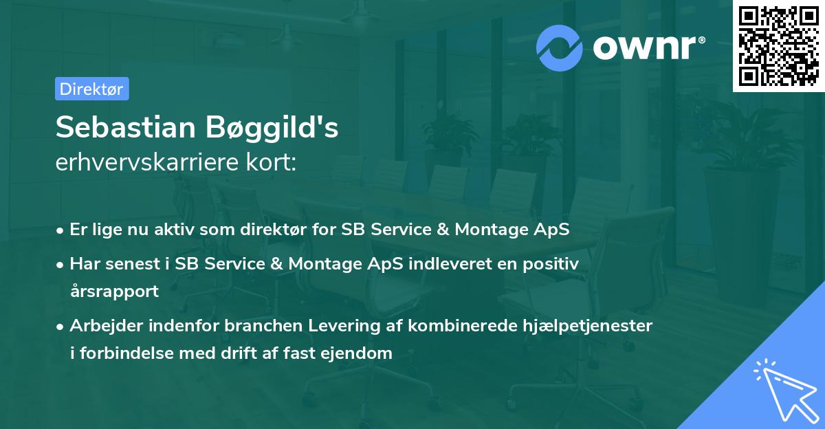 Sebastian Bøggild's erhvervskarriere kort