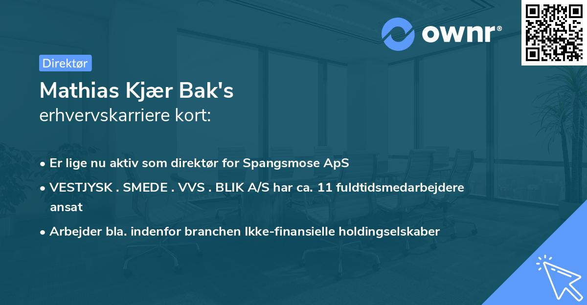 Mathias Kjær Bak's erhvervskarriere kort