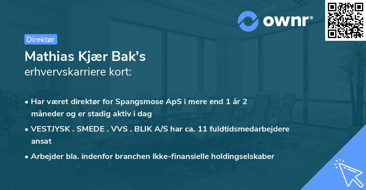 Mathias Kjær Bak's erhvervskarriere kort
