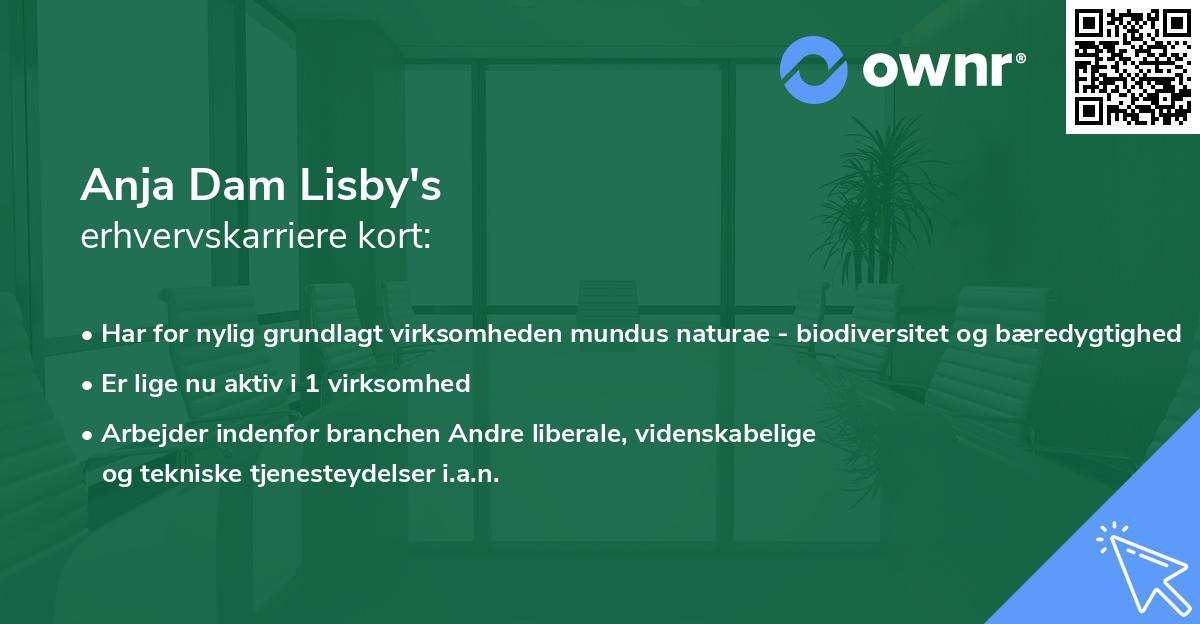 Anja Dam Lisby's erhvervskarriere kort