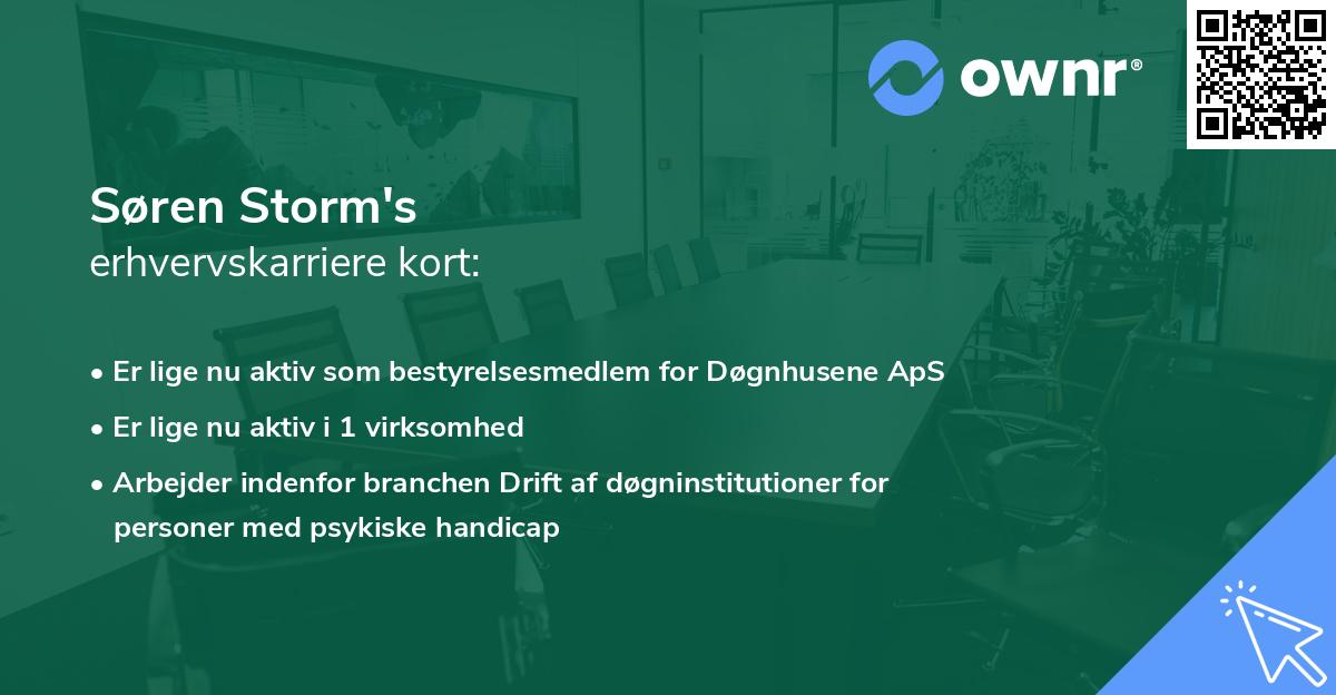 Søren Storm's erhvervskarriere kort