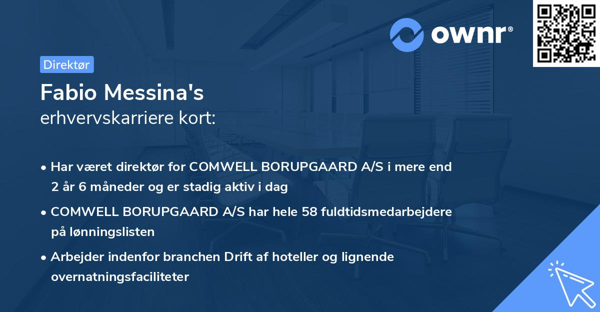 Fabio Messina's erhvervskarriere kort