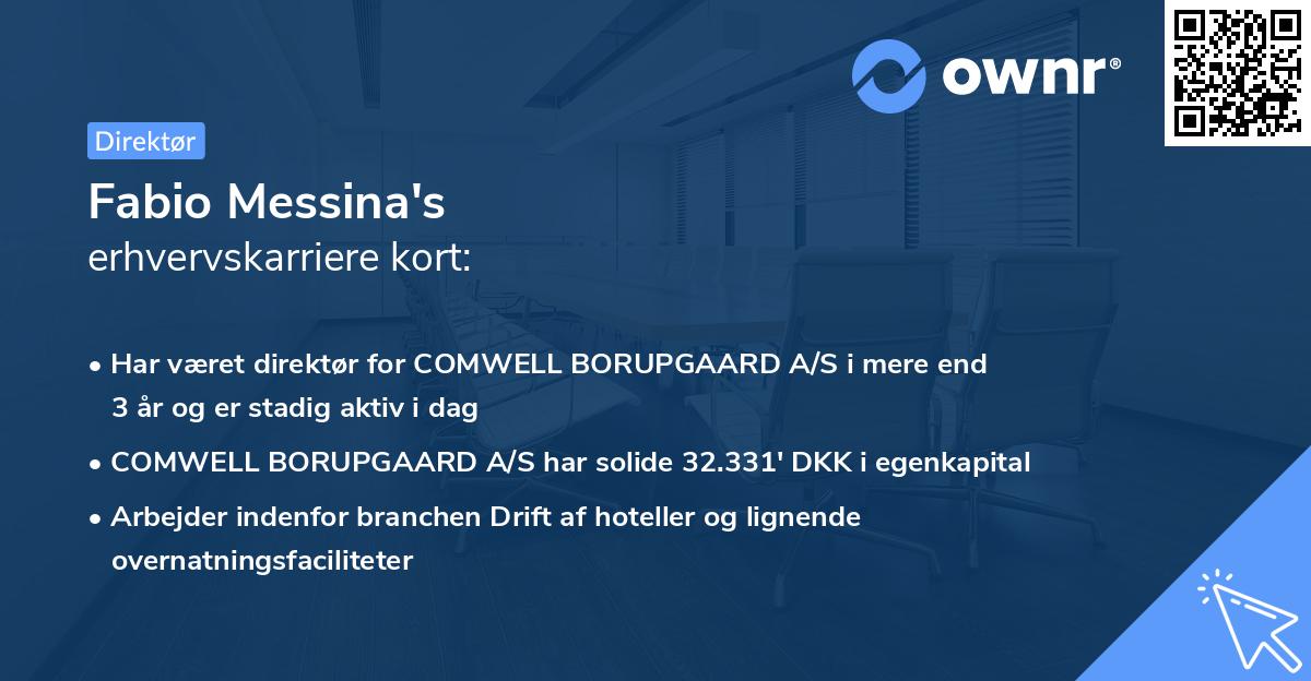 Fabio Messina's erhvervskarriere kort