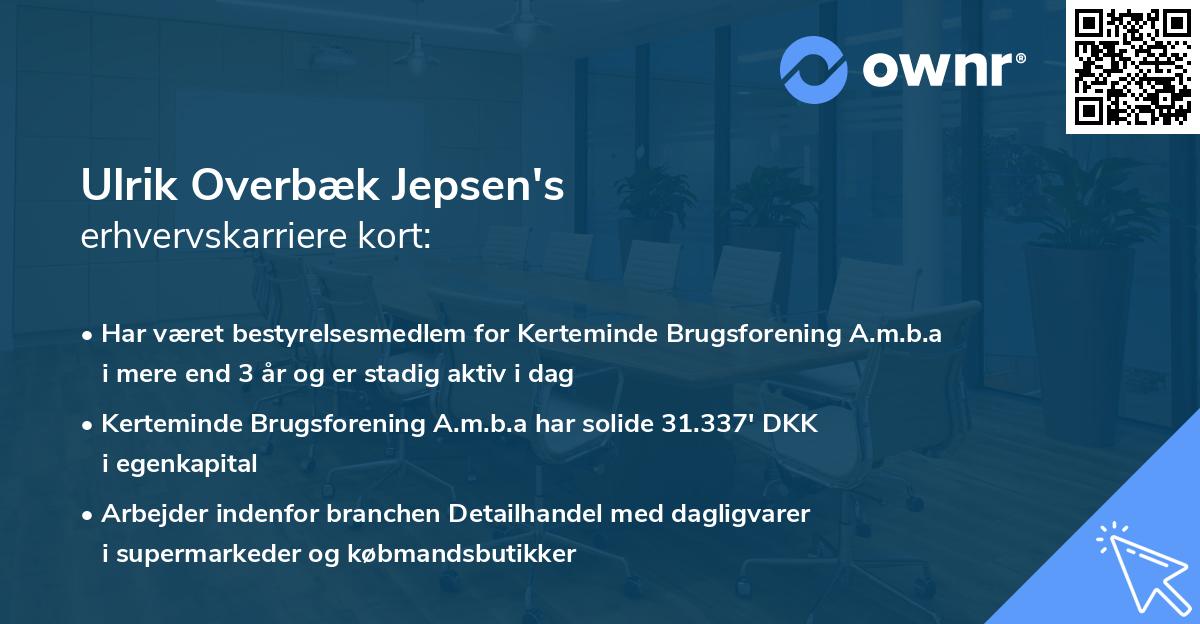 Ulrik Overbæk Jepsen's erhvervskarriere kort
