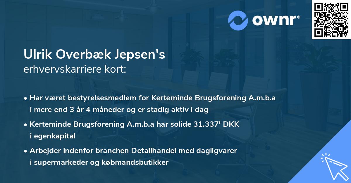 Ulrik Overbæk Jepsen's erhvervskarriere kort
