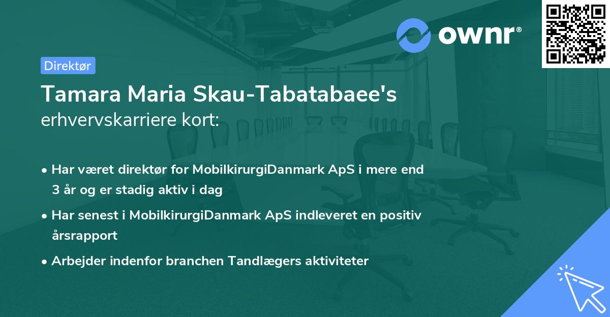 Tamara Maria Skau-Tabatabaee's erhvervskarriere kort