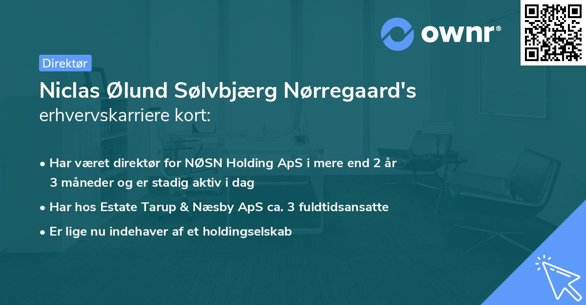 Niclas Ølund Sølvbjærg Nørregaard's erhvervskarriere kort
