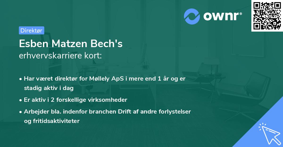 Esben Matzen Bech's erhvervskarriere kort