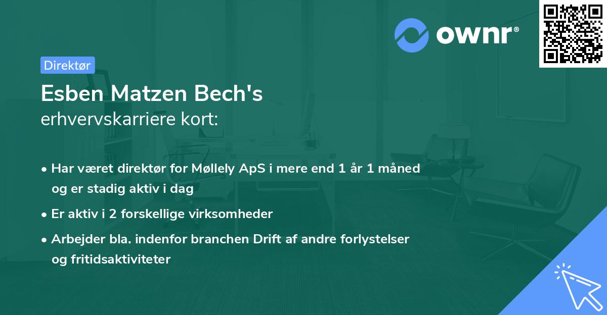 Esben Matzen Bech's erhvervskarriere kort