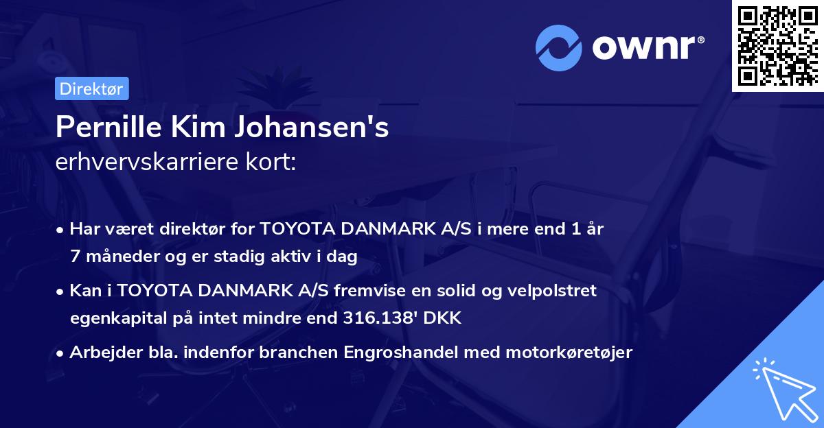 Pernille Kim Johansen's erhvervskarriere kort