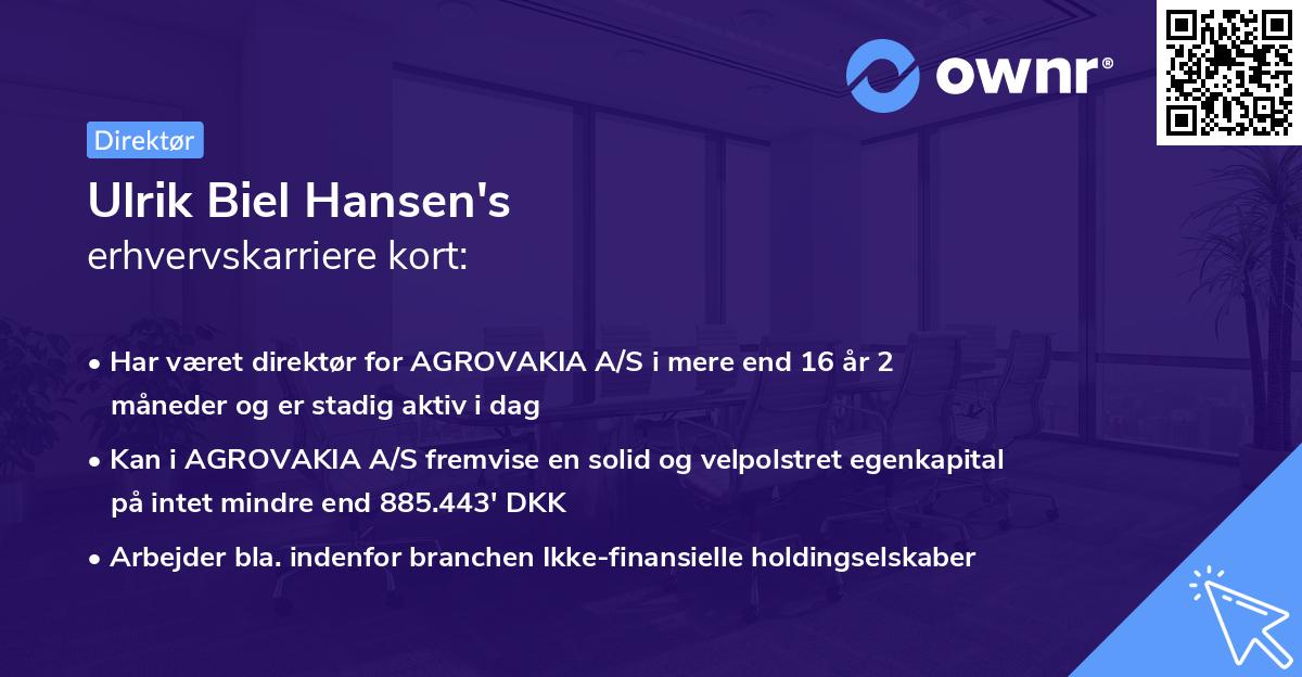 Ulrik Biel Hansen's erhvervskarriere kort