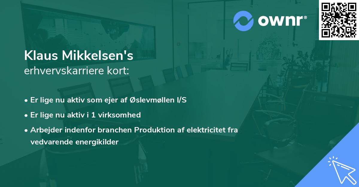 Klaus Mikkelsen's erhvervskarriere kort