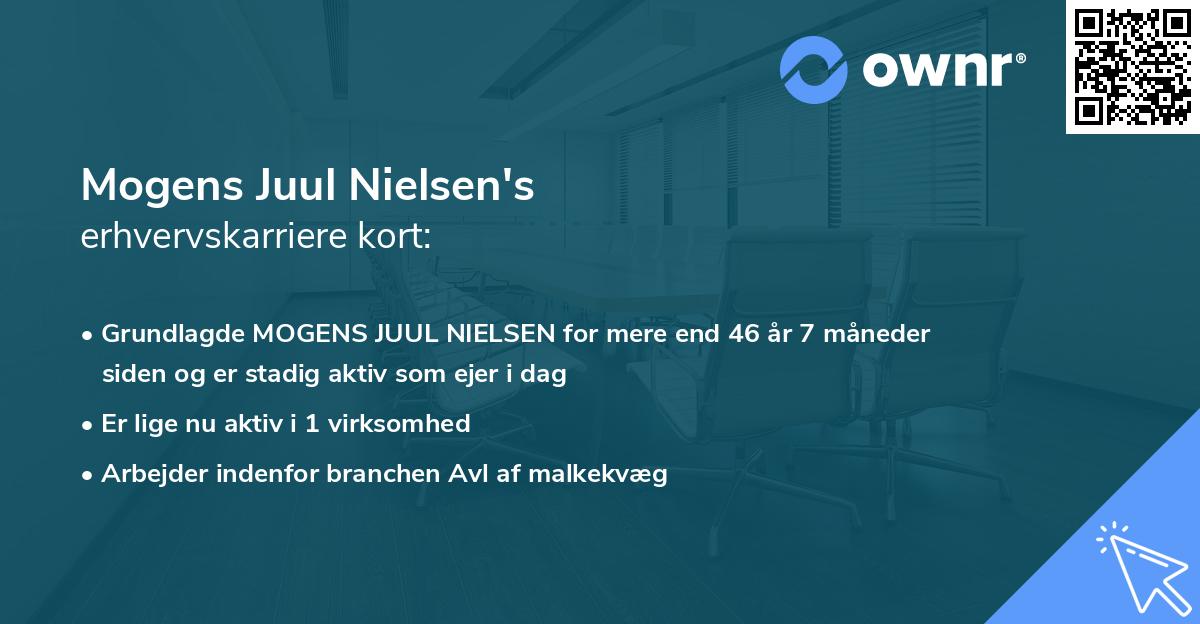 Mogens Juul Nielsen's erhvervskarriere kort