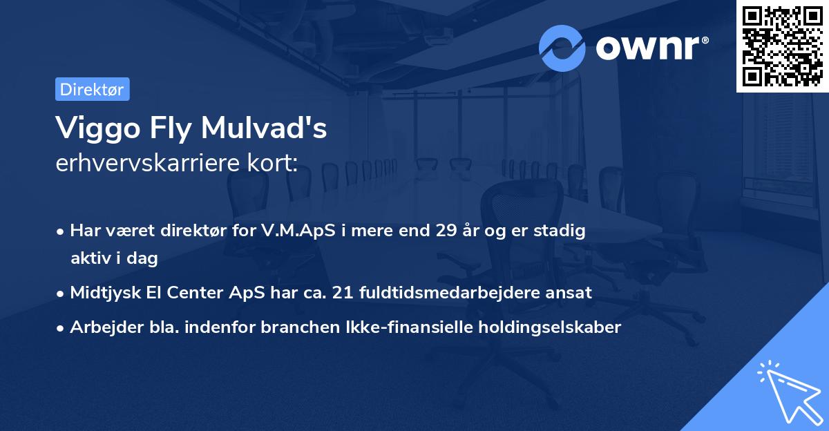 Viggo Fly Mulvad's erhvervskarriere kort