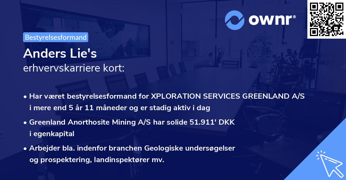 Anders Lie's erhvervskarriere kort