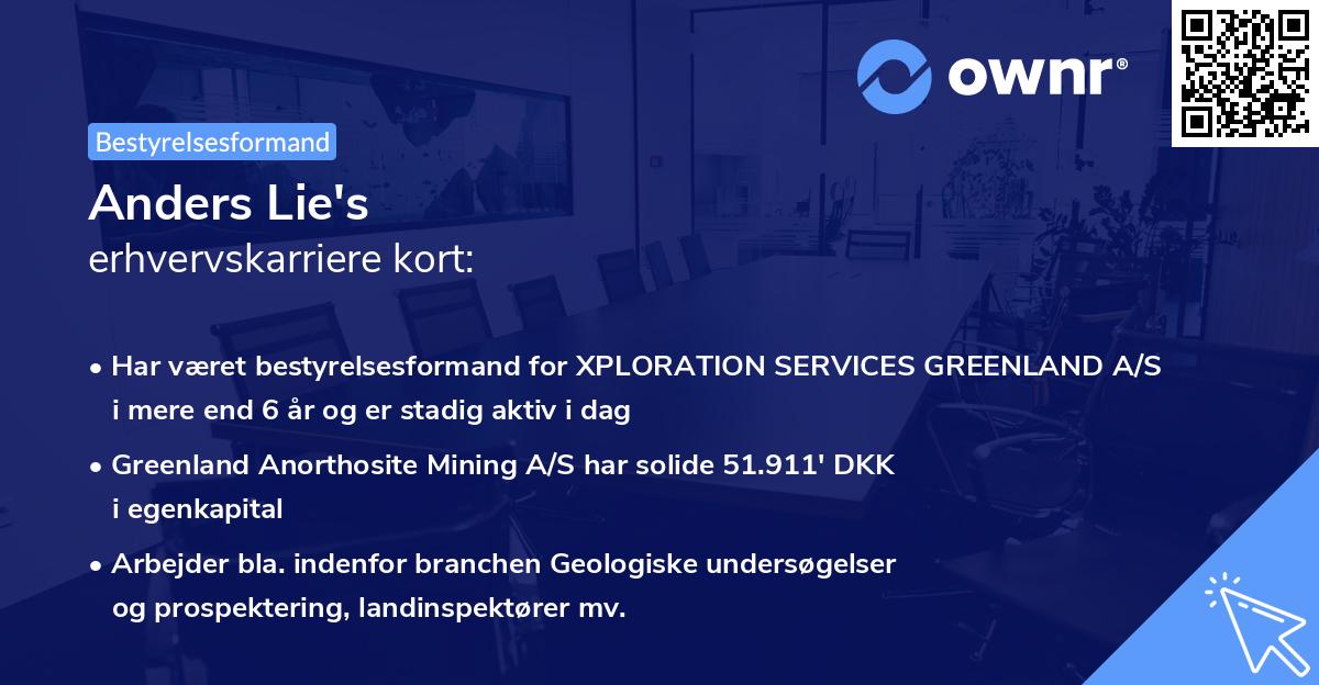 Anders Lie's erhvervskarriere kort