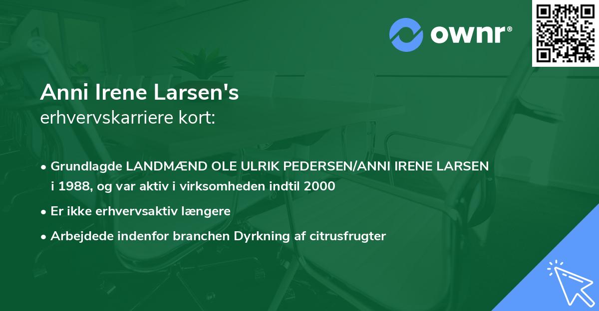 Anni Irene Larsen's erhvervskarriere kort