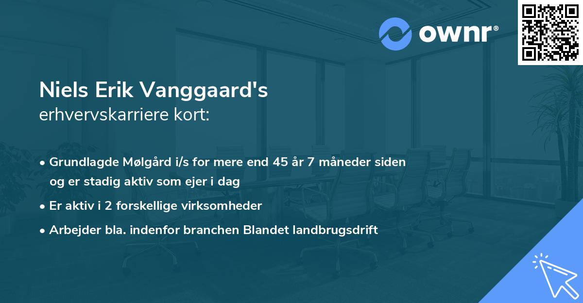 Niels Erik Vanggaard's erhvervskarriere kort
