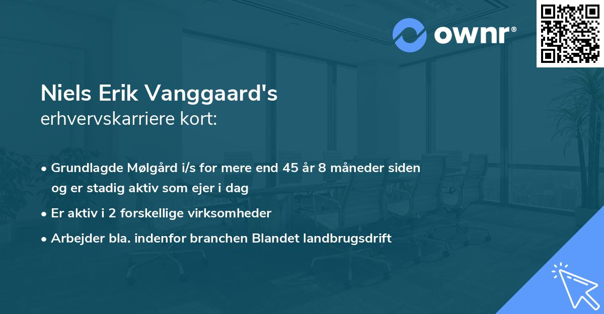 Niels Erik Vanggaard's erhvervskarriere kort
