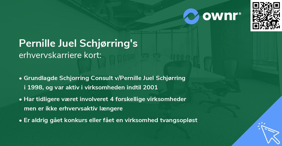 Pernille Juel Schjørring's erhvervskarriere kort