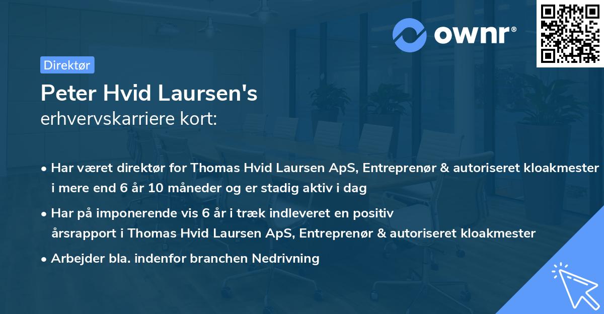 Peter Hvid Laursen's erhvervskarriere kort